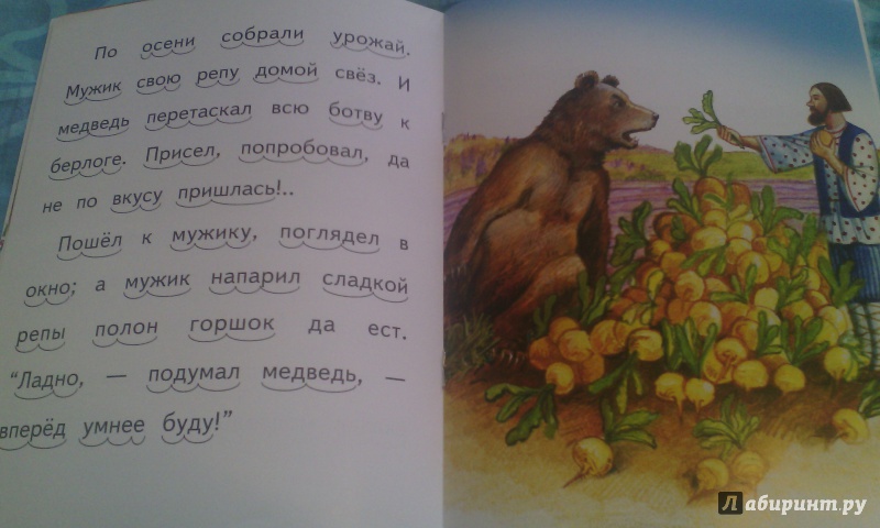 Иллюстрация 4 из 6 для Медведь-половинщик - Владимир Даль | Лабиринт - книги. Источник: Северянка