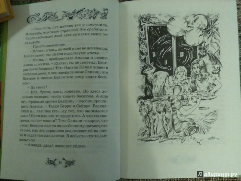Иллюстрация 16 из 22 для Обыкновенная колдунья - Сандра Форрестер | Лабиринт - книги. Источник: SergP