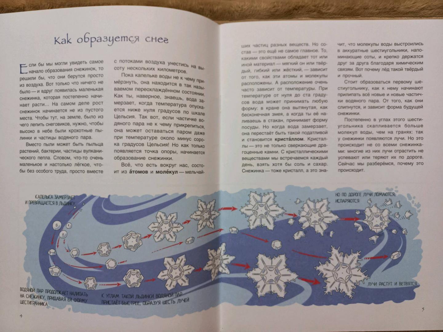 Иллюстрация 39 из 41 для История снежинки, или Чудо на рукавице - Юлия Смирнова | Лабиринт - книги. Источник: Лабиринт