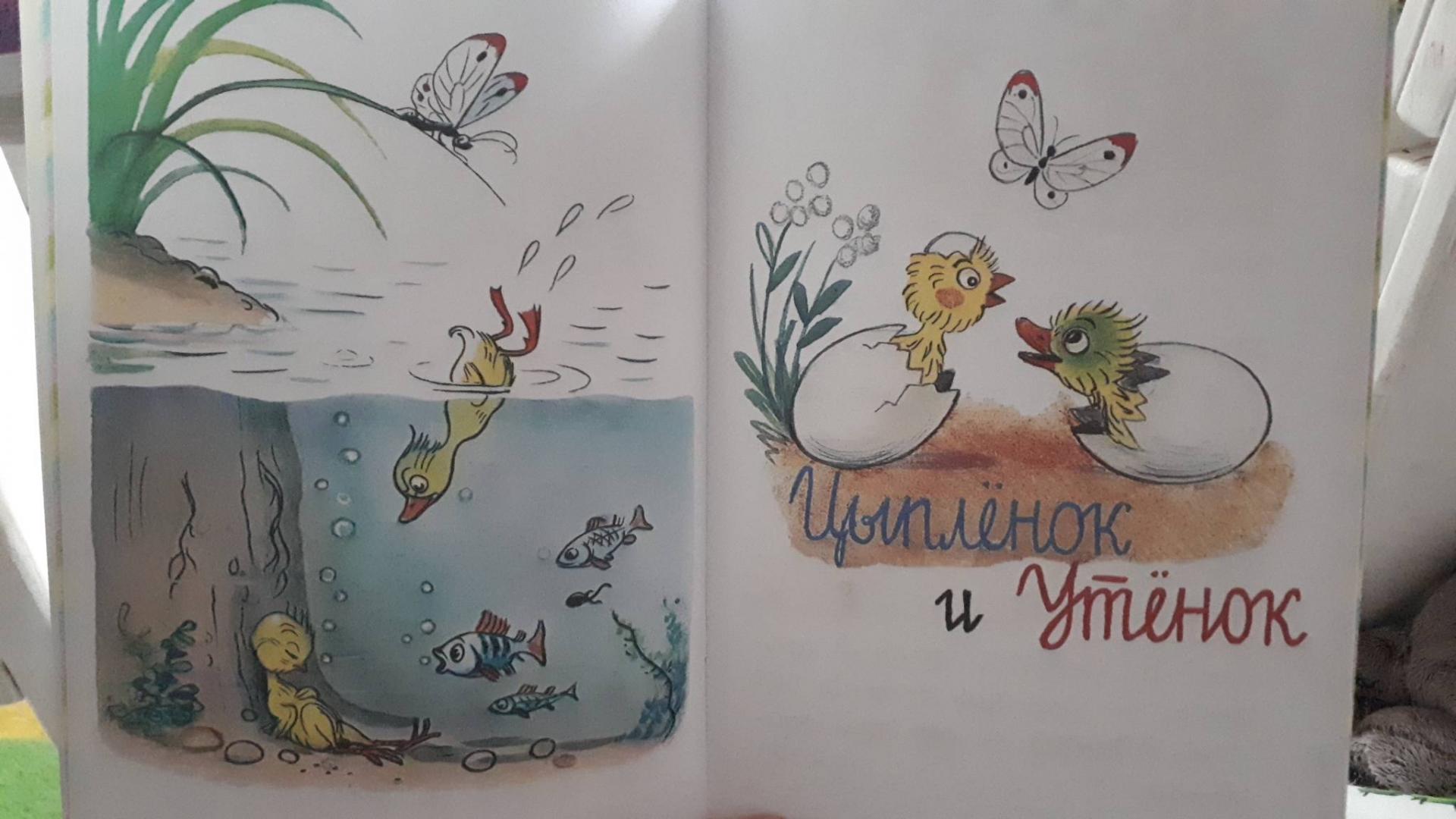 Иллюстрация 26 из 28 для Маленькие сказки - Владимир Сутеев | Лабиринт - книги. Источник: Matoxa