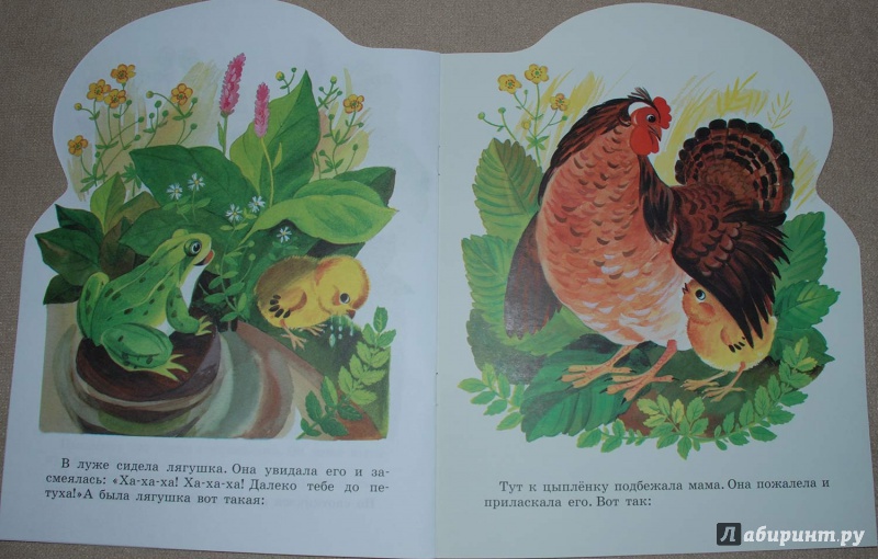 Иллюстрация 7 из 16 для Цыпленок - Корней Чуковский | Лабиринт - книги. Источник: Книжный кот