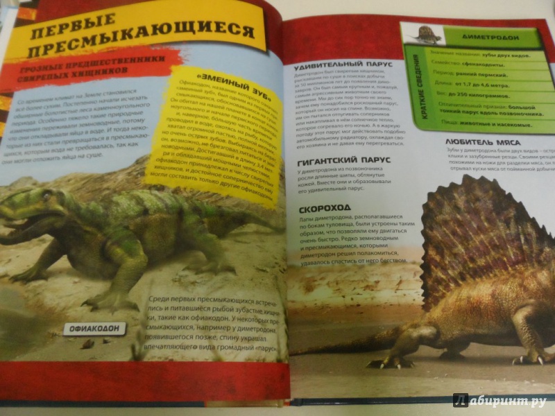 Иллюстрация 4 из 8 для Самые страшные динозавры. Детская энциклопедия | Лабиринт - книги. Источник: Брежнева  Инга