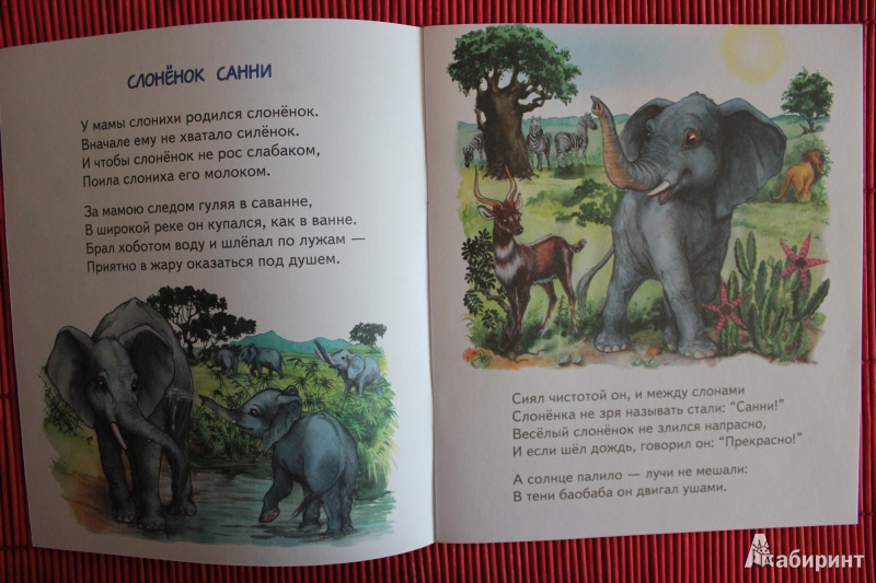 Иллюстрация 6 из 18 для Слонёнок Санни - Владимир Борисов | Лабиринт - книги. Источник: Глушко  Александр