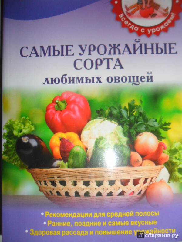 Иллюстрация 2 из 6 для Самые урожайные сорта любимых овощей - Елена Власенко | Лабиринт - книги. Источник: ElenaZ