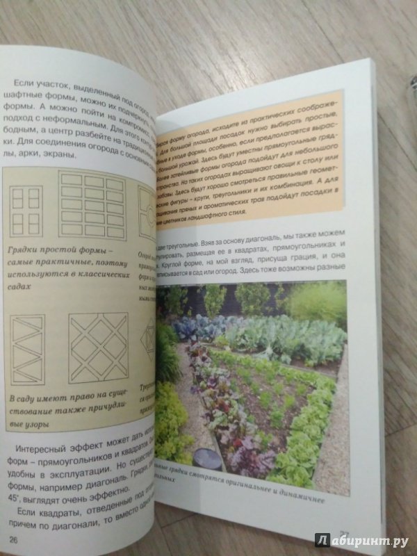 Иллюстрация 14 из 17 для Декоративный огород - Ирина Сахарова | Лабиринт - книги. Источник: Тайна