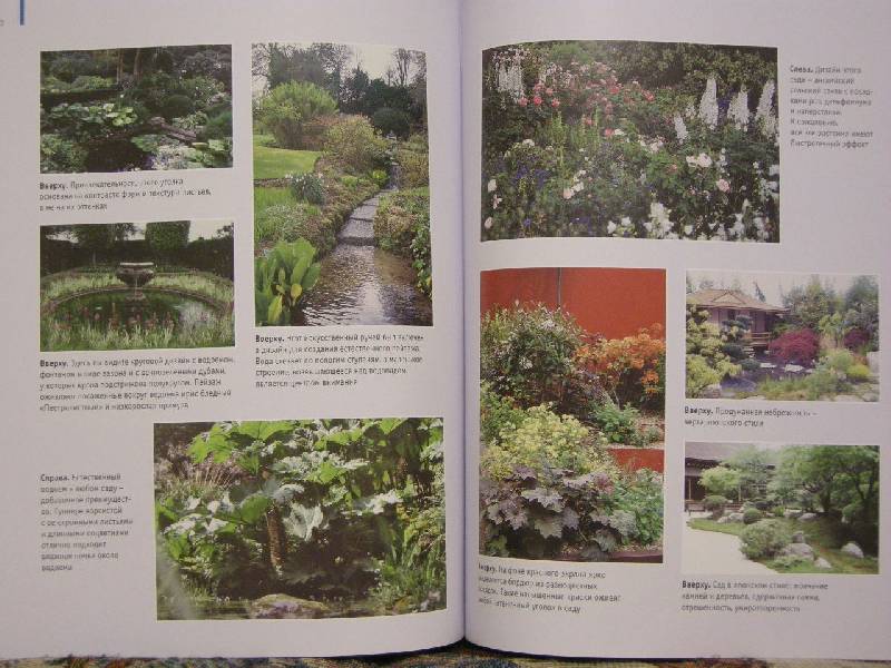Иллюстрация 14 из 25 для Настольная книга садового дизайнера - Александер Розмари | Лабиринт - книги. Источник: Chedi