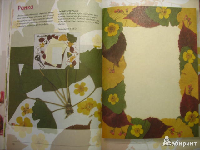 Иллюстрация 12 из 28 для Оригинальные картины из цветов и листьев - Анна Лузи | Лабиринт - книги. Источник: kolobus