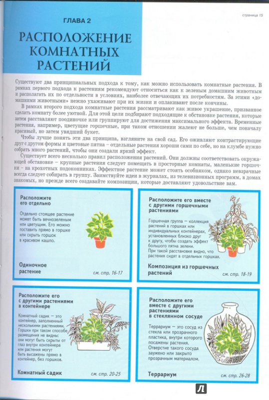 Иллюстрация 3 из 19 для Все о комнатных растениях - Дэвид Хессайон | Лабиринт - книги. Источник: Тесла