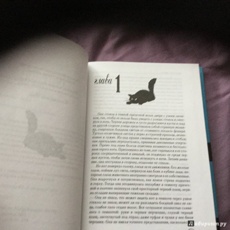 Иллюстрация 15 из 17 для Кот стоит насмерть - Ширли Мерфи | Лабиринт - книги. Источник: Светлая