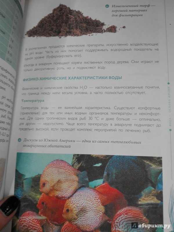 Иллюстрация 22 из 24 для Мой первый аквариум - Александр Очеретний | Лабиринт - книги. Источник: Сафиулина  Юлия
