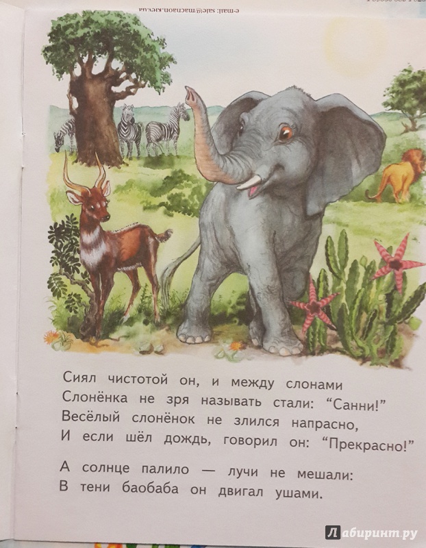Иллюстрация 19 из 32 для Слонёнок Санни - Владимир Борисов | Лабиринт - книги. Источник: Лиса