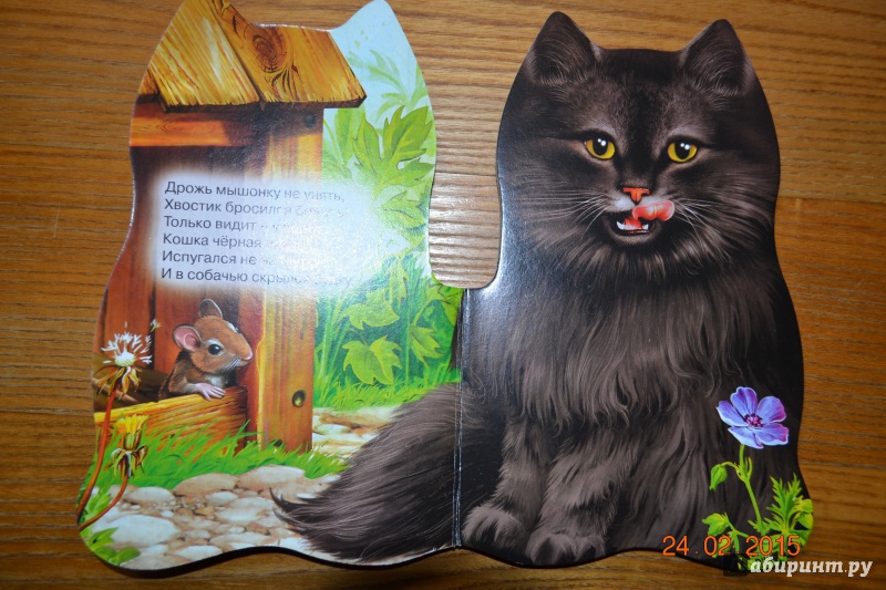 Иллюстрация 7 из 17 для Кошки-мышки - Оксана Иванова | Лабиринт - книги. Источник: Белоус Марина