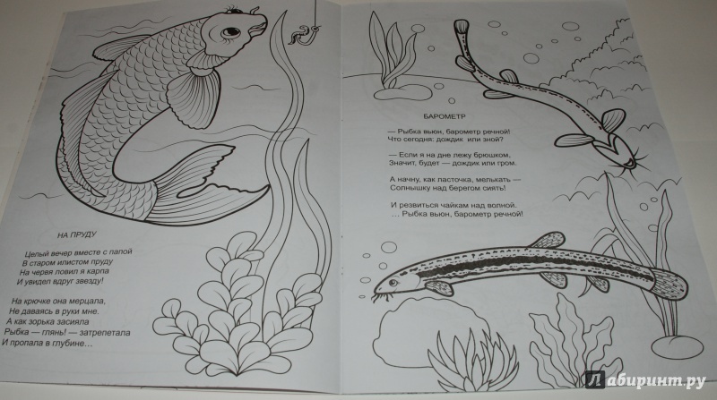 Иллюстрация 4 из 11 для Форелевая речка - Н. Красильников | Лабиринт - книги. Источник: Лабиринт