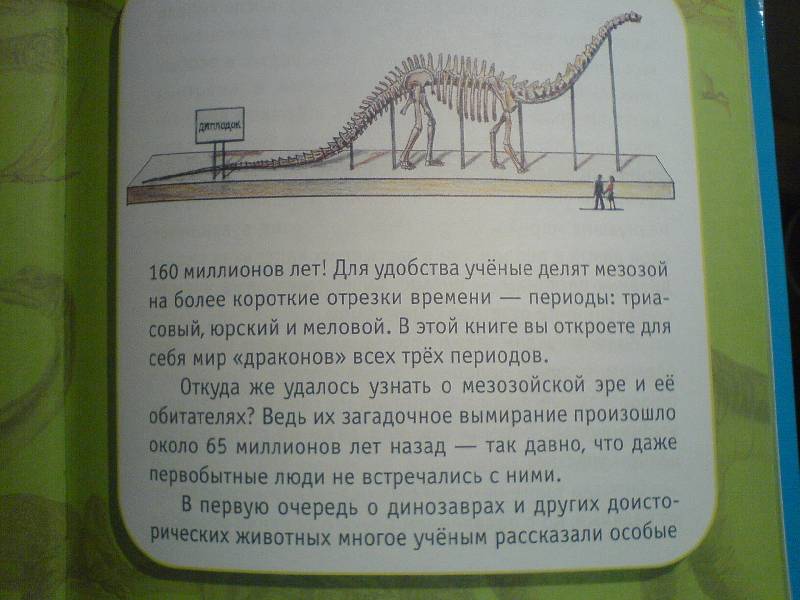 Иллюстрация 7 из 17 для Про динозавров - Мария Диденко | Лабиринт - книги. Источник: Киви
