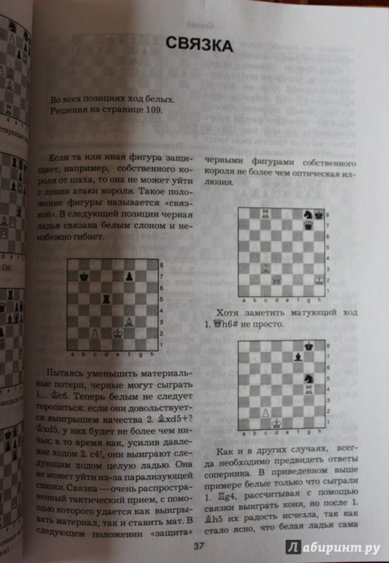 Иллюстрация 34 из 52 для 1001 шахматная задача. Интерактивная книга, которая учит выигрывать - Месса, Масетти | Лабиринт - игрушки. Источник: Катерина