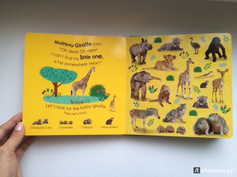 Иллюстрация 3 из 16 для Baby Animals. Little Hide and Seek | Лабиринт - книги. Источник: Попова  Анна