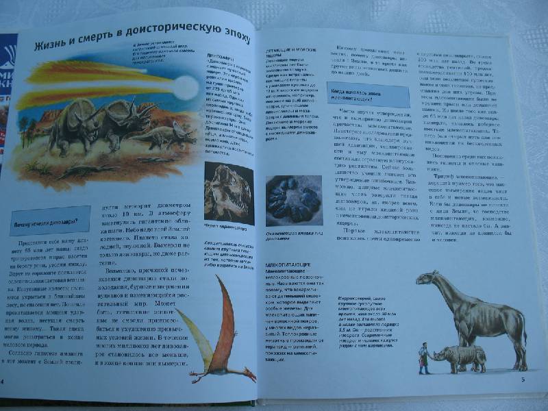 Иллюстрация 3 из 15 для Вымершие и вымирающие животные - Дитмар Мертенс | Лабиринт - книги. Источник: tayana