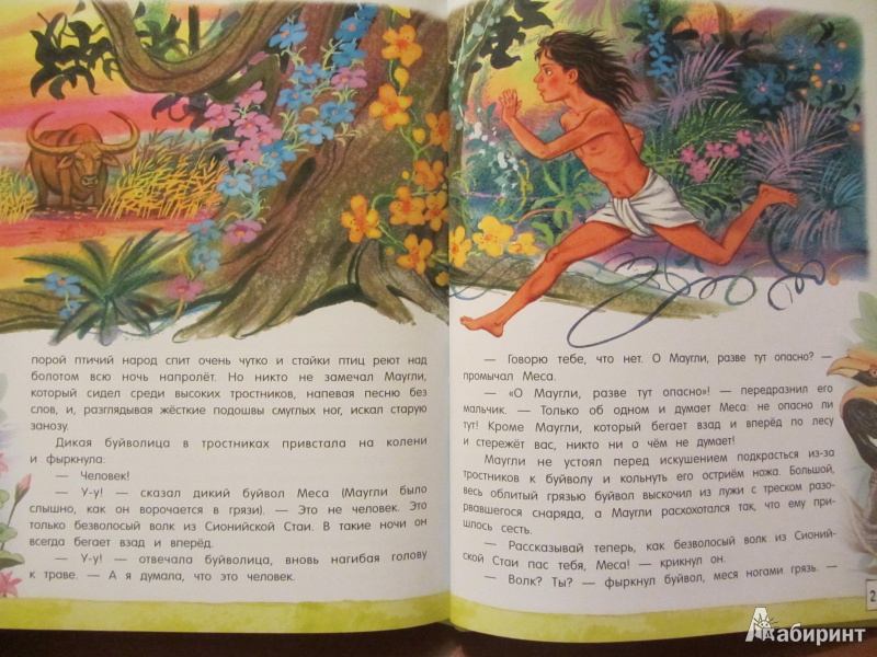 Иллюстрация 45 из 97 для Маугли - Редьярд Киплинг | Лабиринт - книги. Источник: Сандракова Юля
