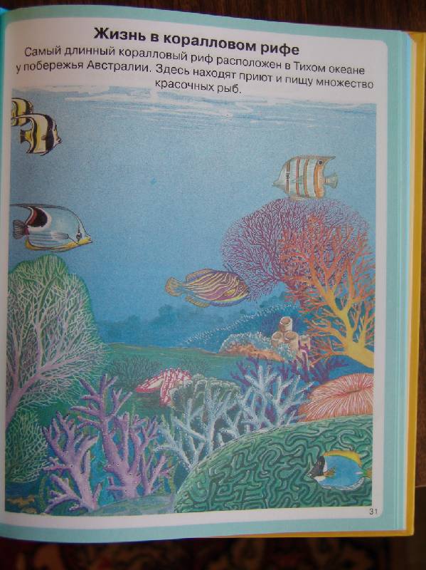 Иллюстрация 45 из 45 для Тайны моря - Мари-Рене Пимон | Лабиринт - книги. Источник: Лаванда
