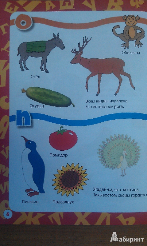 Иллюстрация 24 из 25 для Азбука с наклейками для детей от 3-х лет | Лабиринт - книги. Источник: Юнипе