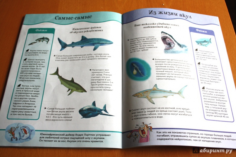 Иллюстрация 6 из 28 для Акулы | Лабиринт - книги. Источник: Yulia_ee