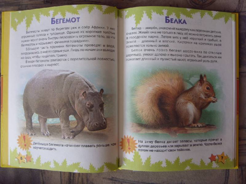 Иллюстрация 31 из 51 для Атлас животных для малышей - Татьяна Комзалова | Лабиринт - книги. Источник: Золотая рыбка