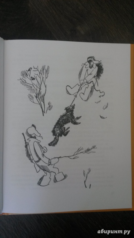 Иллюстрация 12 из 39 для О Гриньке, о Саньке и немного о девчонках - Варлаам Рыжаков | Лабиринт - книги. Источник: mara79-08