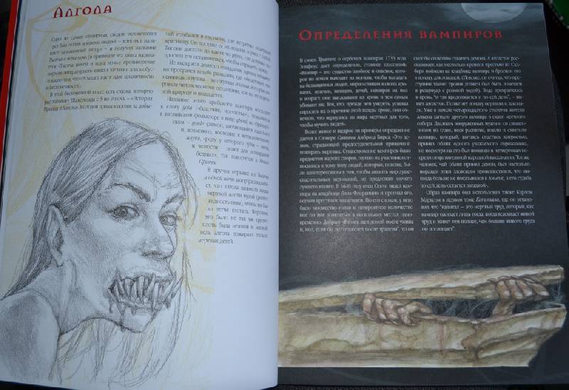 Иллюстрация 59 из 63 для Вампиры. Магический мир - Нестор Баррон | Лабиринт - книги. Источник: Irichka