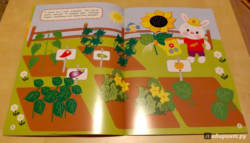 Иллюстрация 27 из 40 для Овощи-фрукты | Лабиринт - игрушки. Источник: mrs_Malinka