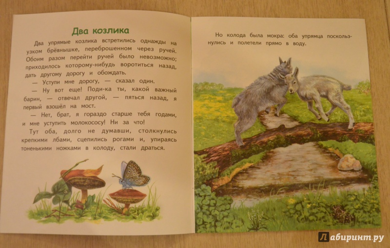 Иллюстрация 11 из 23 для Лиса и гуси - Константин Ушинский | Лабиринт - книги. Источник: QZX