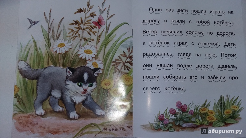 Иллюстрация 29 из 30 для Котёнок - Лев Толстой | Лабиринт - книги. Источник: Снежана Борисовна