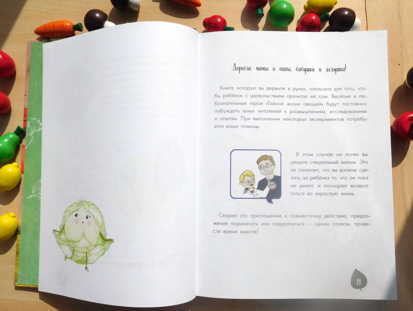 Иллюстрация 25 из 65 для Тайная жизнь овощей - Алена Водопьянова | Лабиринт - книги. Источник: Годовёнок