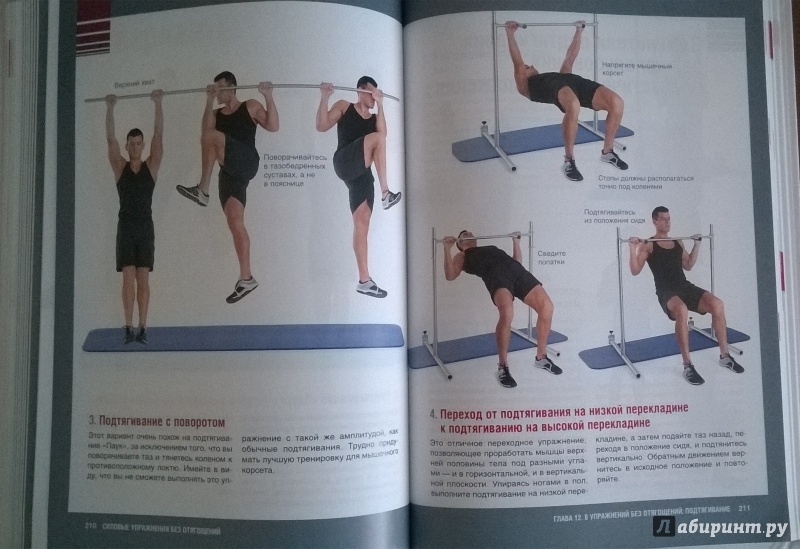 Иллюстрация 20 из 21 для Силовые упражнения без отягощений. Ваше тело - ваш тренажерный зал! - Би-Джей Гаддур | Лабиринт - книги. Источник: Mechtatel