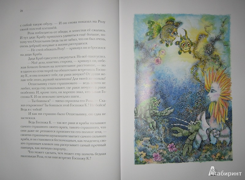 Иллюстрация 28 из 67 для Отшельник и Роза - Борис Заходер | Лабиринт - книги. Источник: Трухина Ирина