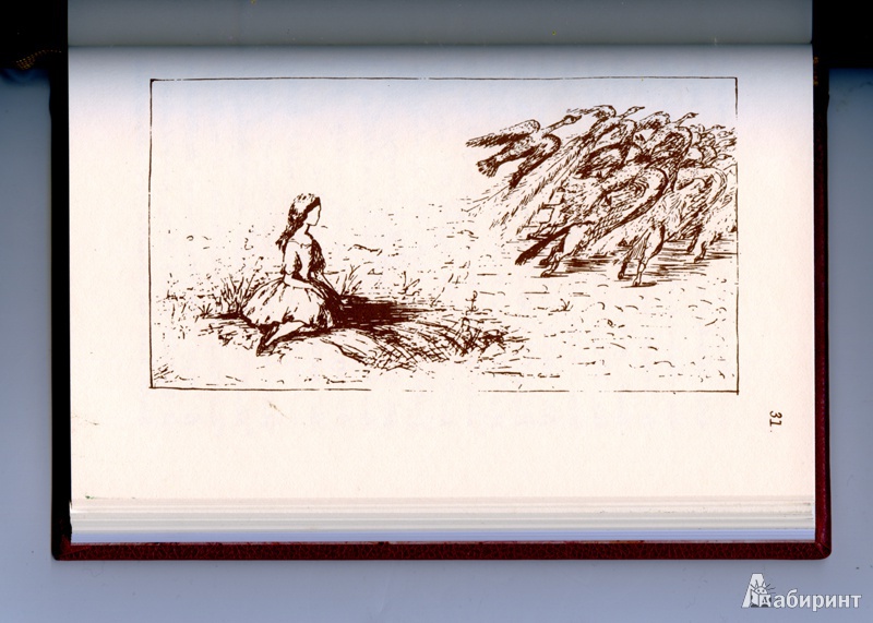 Иллюстрация 15 из 16 для Приключение Алисы под землей - Льюис Кэрролл | Лабиринт - книги. Источник: Сати