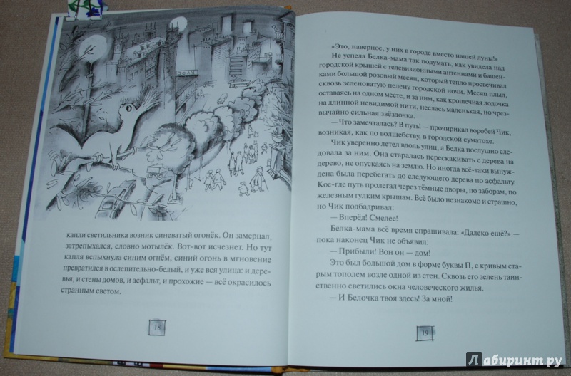 Иллюстрация 24 из 27 для Девочка и белочка - Павел Катаев | Лабиринт - книги. Источник: Книжный кот