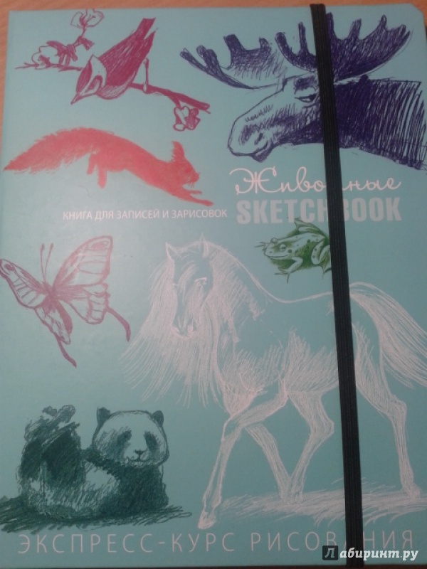Иллюстрация 5 из 18 для Животные. Sketchbook (мята) - Н. Савельева | Лабиринт - канцтовы. Источник: *Gleek*