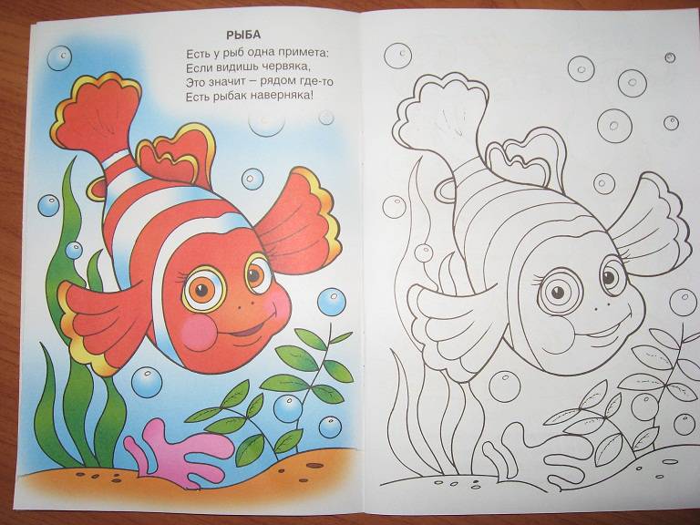 Иллюстрация 17 из 18 для Обитатели моря - Татьяна Коваль | Лабиринт - книги. Источник: babyars