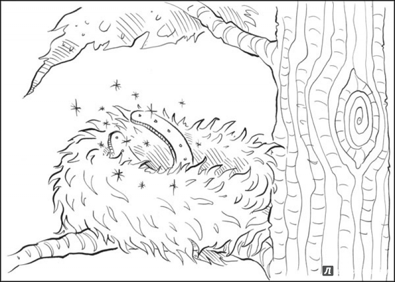 Иллюстрация 7 из 21 для Друг из Облачного леса - Хлое Райдер | Лабиринт - книги. Источник: юлия д.