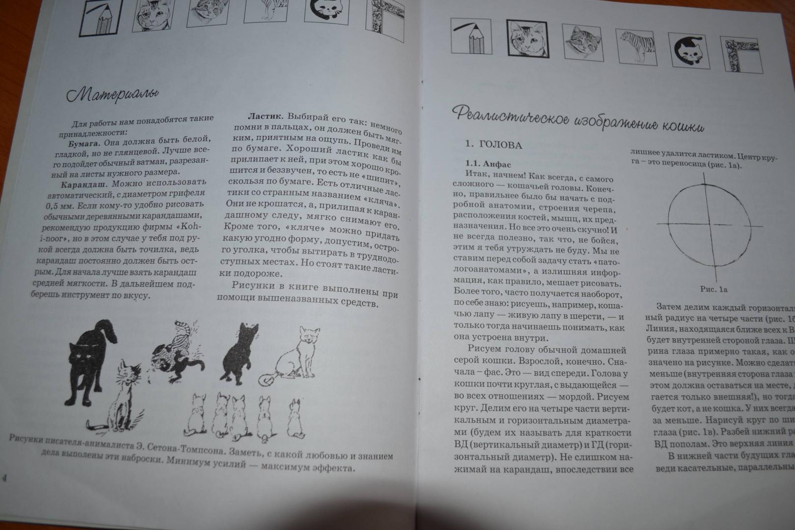 Иллюстрация 4 из 20 для Как нарисовать кошку - Наталья Рымарь | Лабиринт - книги. Источник: Irina Vladimirovna