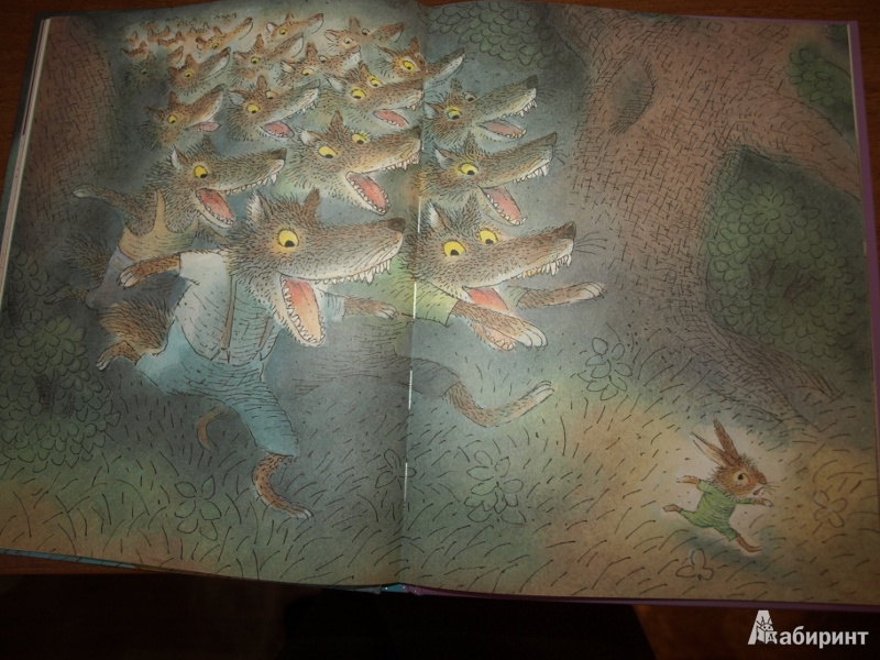 Иллюстрация 14 из 43 для Сказки на ночь - Карол Рот | Лабиринт - книги. Источник: Nani