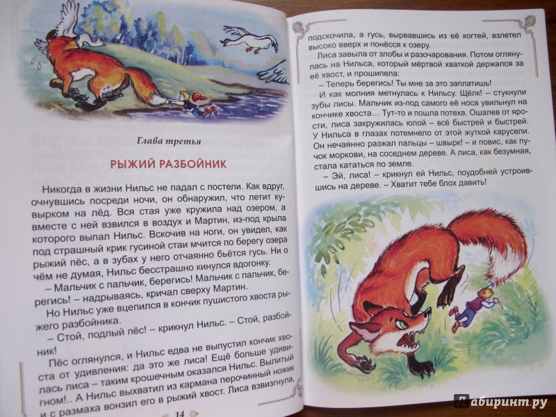 Иллюстрация 6 из 15 для Чудесное путешествие Нильса с дикими гусями - Сельма Лагерлеф | Лабиринт - книги. Источник: Vi_ta