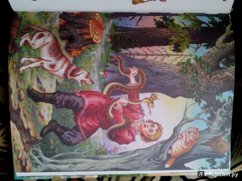 Иллюстрация 6 из 45 для Волшебное кольцо | Лабиринт - книги. Источник: drakoha
