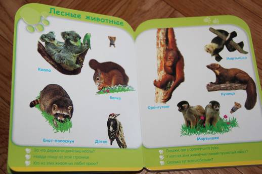 Иллюстрация 10 из 12 для Животные (от 3-х лет) | Лабиринт - книги. Источник: Vilvarin  Laurea