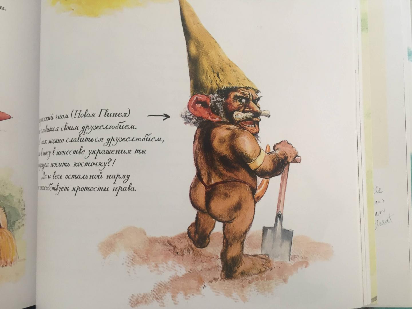 Иллюстрация 71 из 77 для Тайны гномов - Вил Хёйген | Лабиринт - книги. Источник: Корольков  Дмитрий
