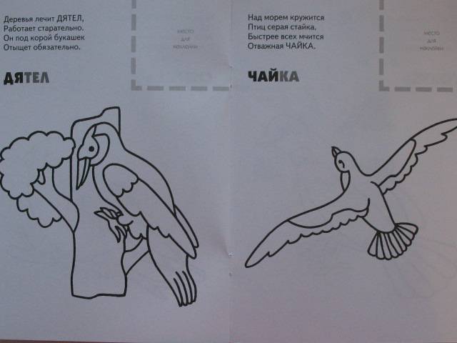 Иллюстрация 8 из 10 для Назови, раскрась, наклей: Птицы - Бурмистрова, Мороз | Лабиринт - книги. Источник: Юлия1978