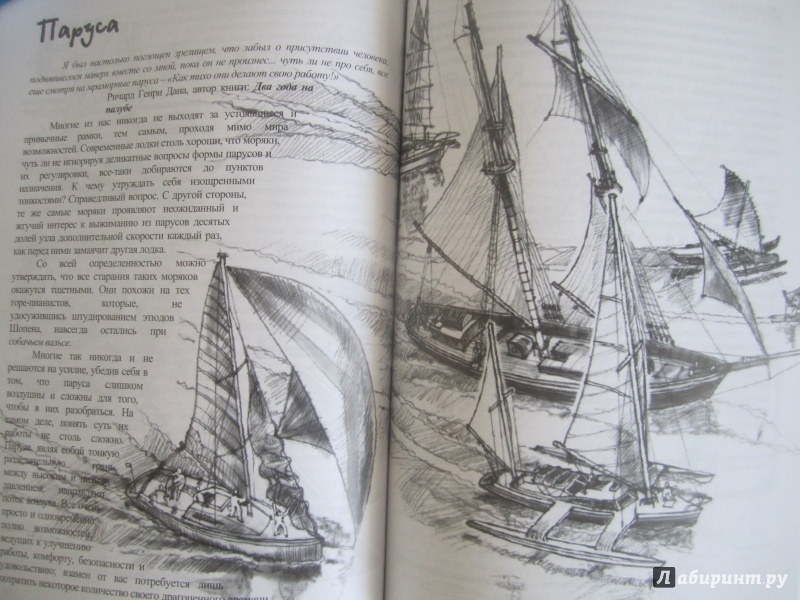 Иллюстрация 12 из 13 для Хождение на парусной яхте для детей и взрослых - Дэвид Сейдман | Лабиринт - книги. Источник: Усикова  Екатерина