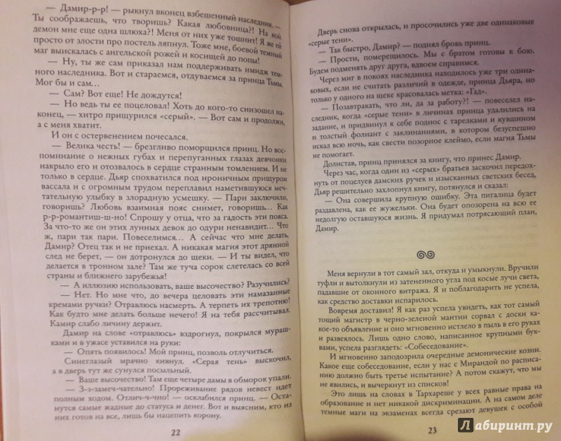 Иллюстрация 24 из 29 для Академия Тьмы и Теней. Телохранительница Его Темнейшества - Ирмата Арьяр | Лабиринт - книги. Источник: Katty