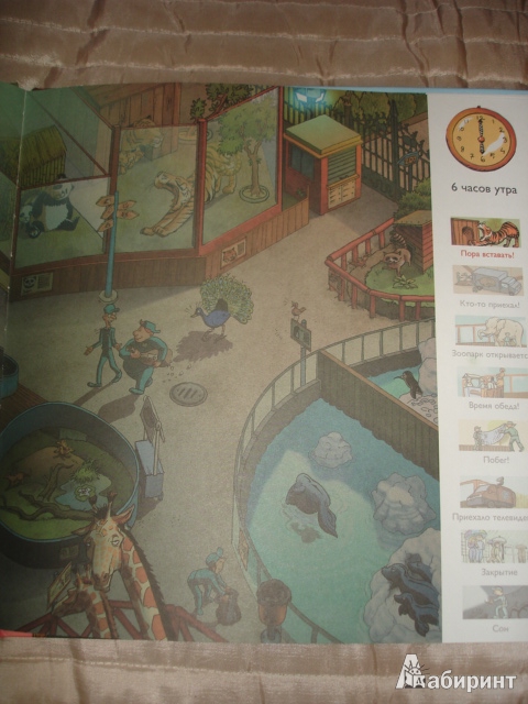 Иллюстрация 23 из 33 для Веселый день в зоопарке | Лабиринт - книги. Источник: Осьминожка