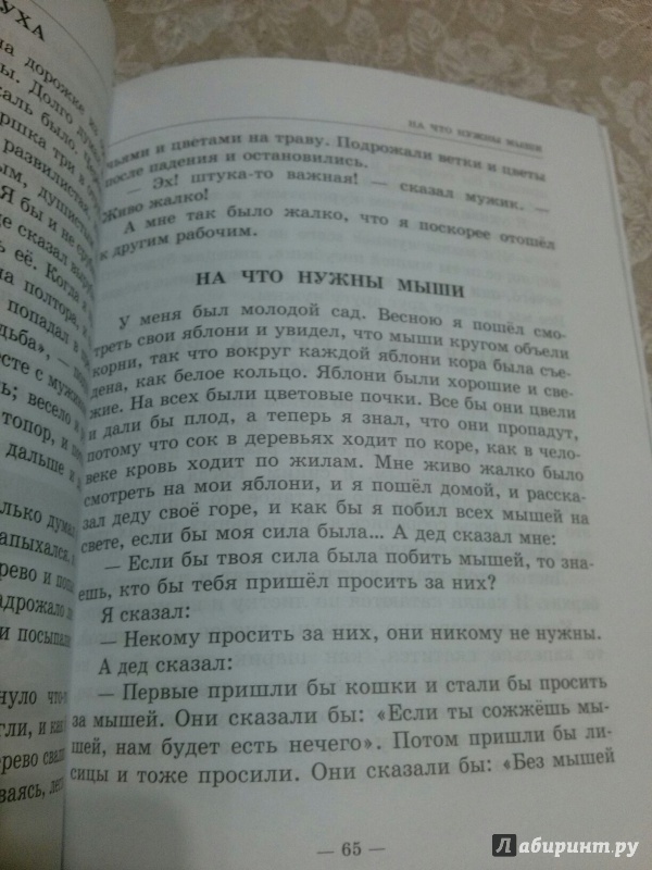 Иллюстрация 27 из 41 для Сказки, рассказы, повести - Лев Толстой | Лабиринт - книги. Источник: Лабиринт